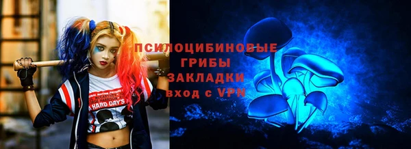 каннабис Арсеньев