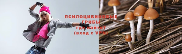 дурь Аркадак