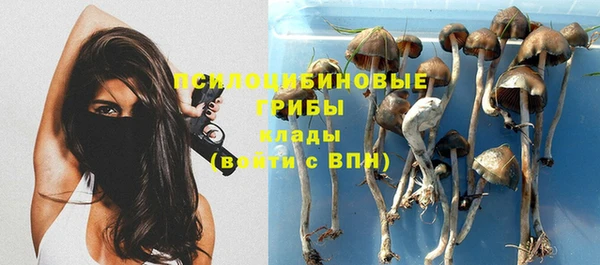 каннабис Арсеньев