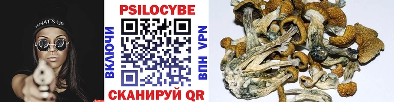 Псилоцибиновые грибы GOLDEN TEACHER  кракен зеркало  Ленск 